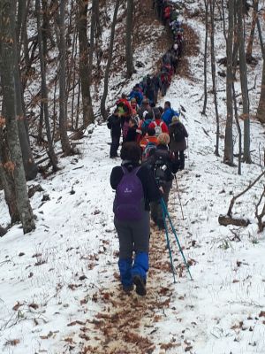 Zakorenje 2019 04