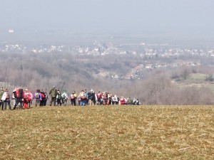 DSCF3357